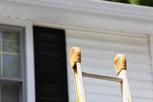 Historical Building Siding Restoration in Homer, AK